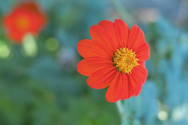 一种全新的 一种全新的