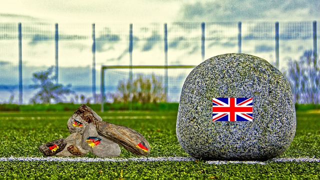 但他们的比 但他们的比