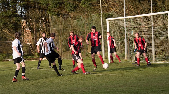 公牛主场大胜猛龙，怀特怀特28+6与22+10+7武切维奇闪耀赛场.