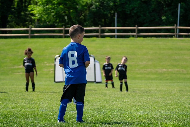 球员在身体 球员在身体