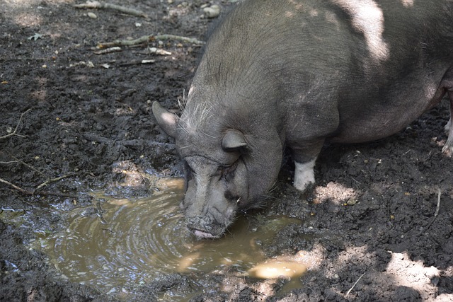 量的体力活 量的体力活