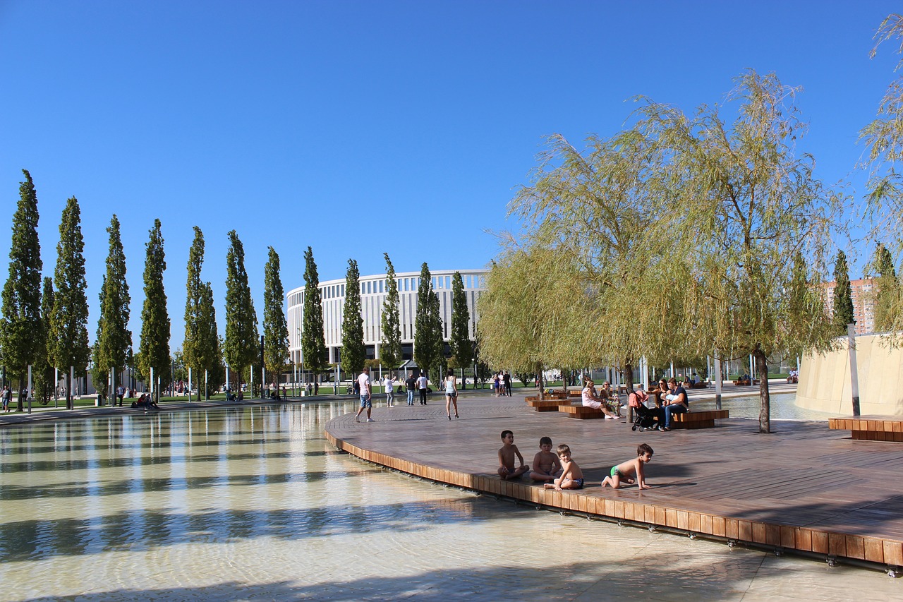 的阵容实力 的阵容实力
