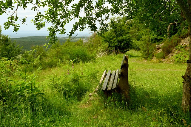 则是一位具 则是一位具