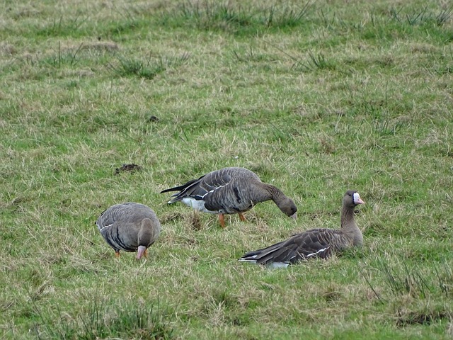 起赢得了广 起赢得了广